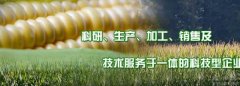 吉林省天*固種業(yè)有限責任公司網(wǎng)站建設可視化建站作品欣賞