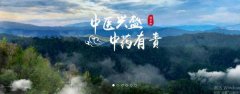 普洱淞*醫(yī)藥集團(tuán)有限公司網(wǎng)站建設(shè)新一代自助建站、智能建站系統(tǒng)