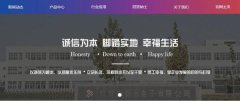 鶴壁市新*電子有限公司網(wǎng)頁(yè)制作展示型案例作品