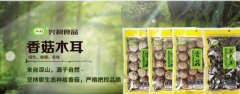 鐘祥興*食品股份有限公司企業(yè)網(wǎng)站建設可視化建站作品欣賞