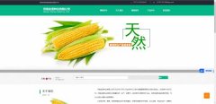 企業(yè)網站設計基于信息圖形化的網頁界面視覺均衡優(yōu)化